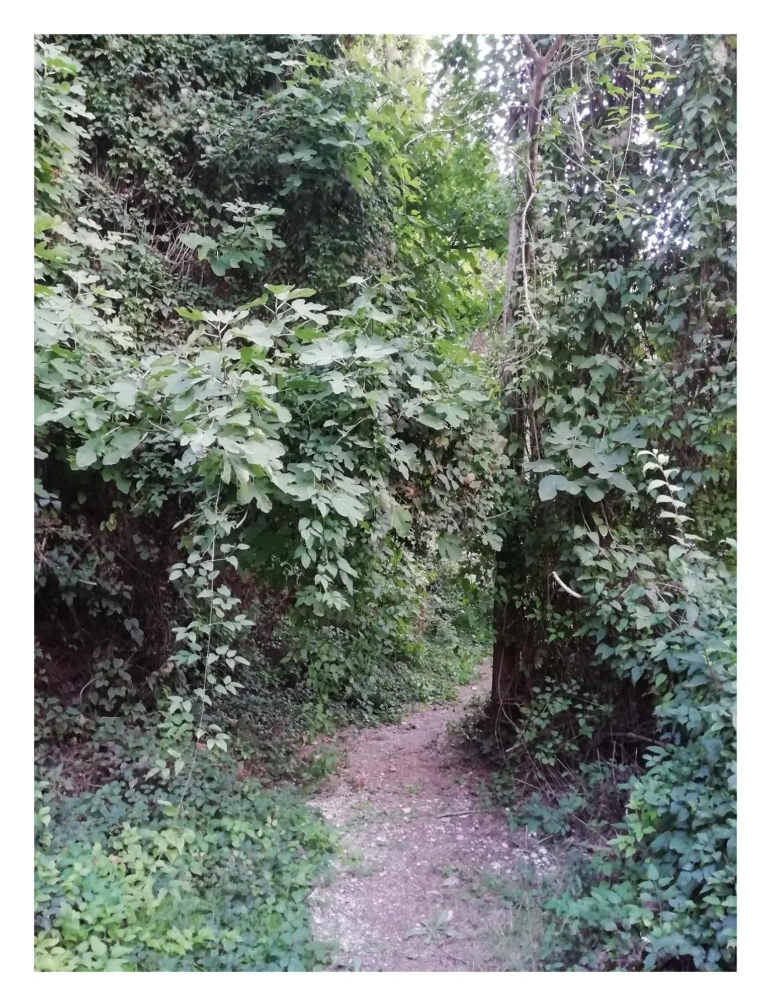 Casa Rural El Abejorro อัลกาลา เดล ฆูการ์ ภายนอก รูปภาพ
